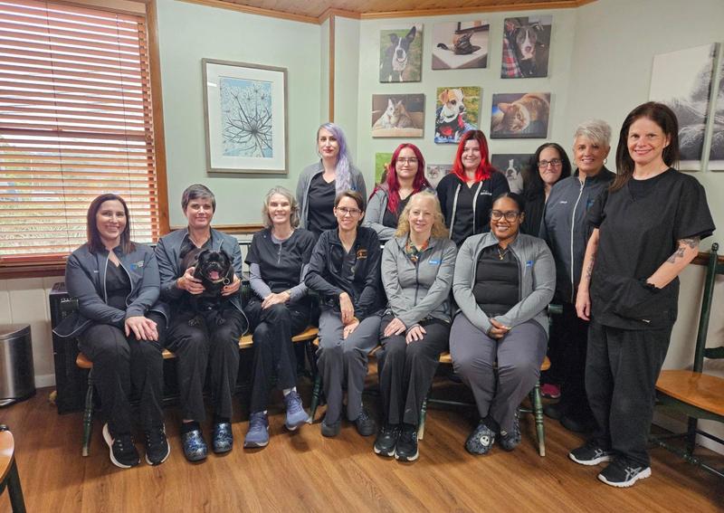 Carousel Slide 3: Meet Our Team