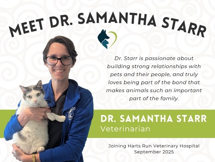 Meet Our New Veterinarian: Dr. Starr!